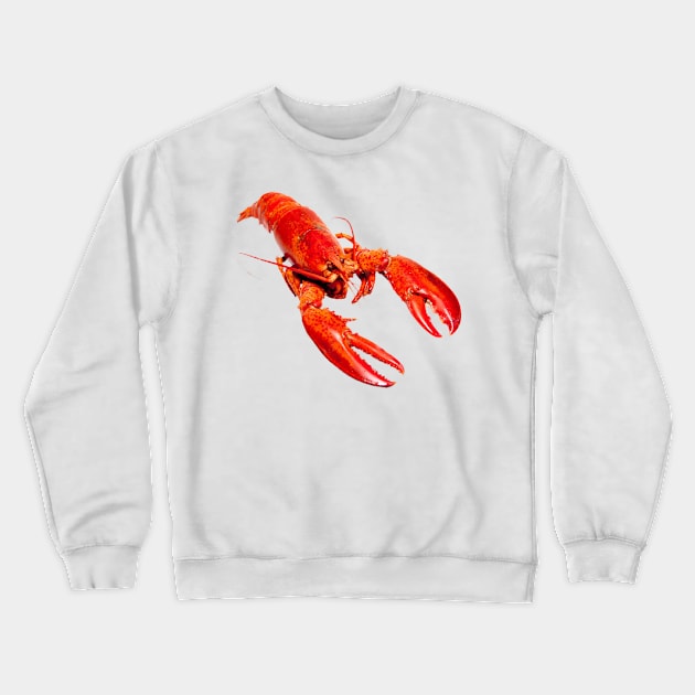 Lobster Crewneck Sweatshirt by MysticTimeline